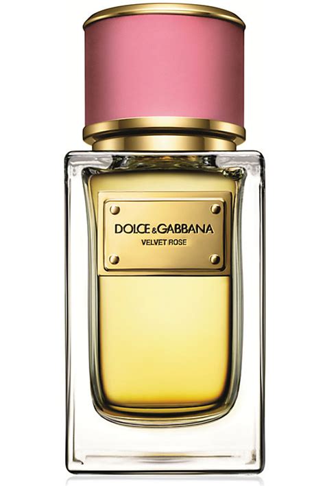 dolce and gabbana perfume original|best dolce and gabbana perfume for women.